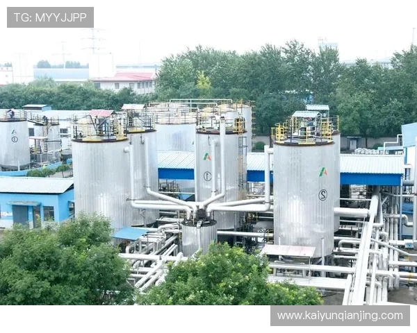 新手必看：开云在线登录步骤详解与提示