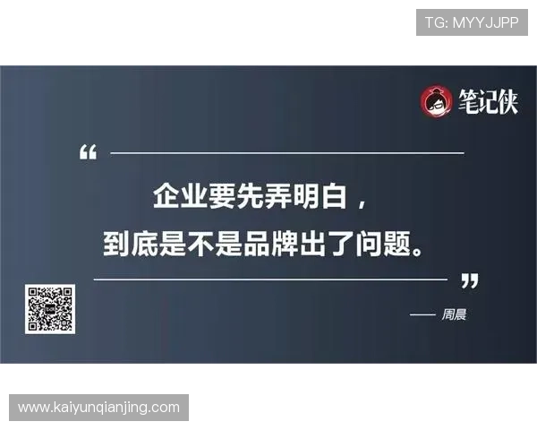 解析开云品牌形象背后的文化内涵与战略思维