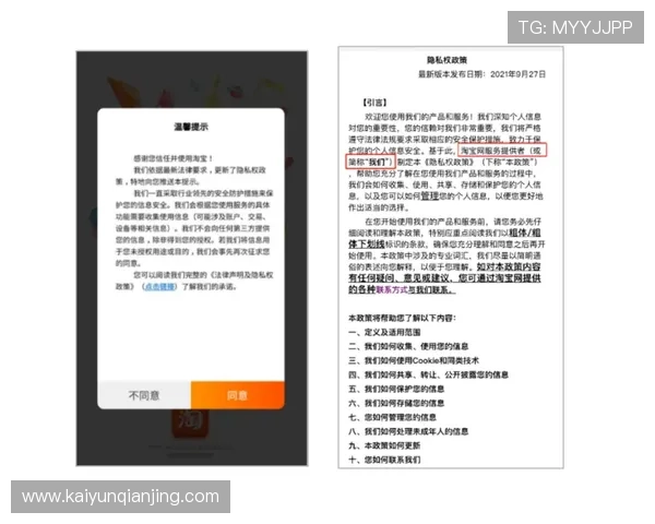 开云体育国际站的安全保障措施与隐私保护政策全面解读